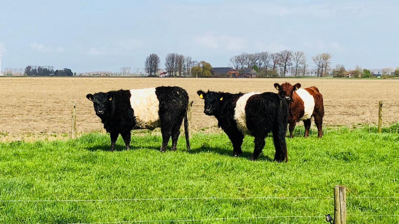 Slapen bij de Zeeuwse Lala Bed and Breakfast IJzendijke Buitenkant foto